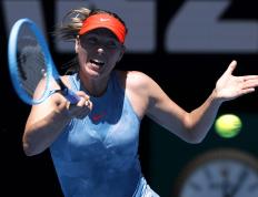 28圈- 莎拉波娃个人简介 