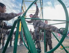 28圈-关于Scout连续七场比赛得分超过大胜，日本队挑战极限！的信息