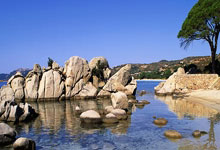 28圈- 骑砍2领主叛变机制 